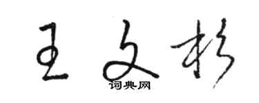 駱恆光王文杉草書個性簽名怎么寫