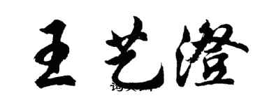 胡問遂王藝澄行書個性簽名怎么寫