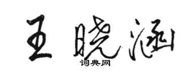 駱恆光王曉涵行書個性簽名怎么寫