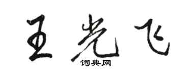 駱恆光王光飛行書個性簽名怎么寫