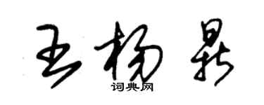 朱錫榮王楊鼎草書個性簽名怎么寫