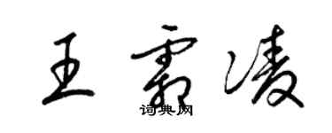 梁錦英王霜凌草書個性簽名怎么寫