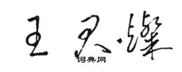 駱恆光王君燦草書個性簽名怎么寫