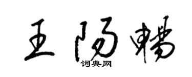 梁錦英王陽暢草書個性簽名怎么寫