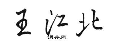 駱恆光王江北行書個性簽名怎么寫