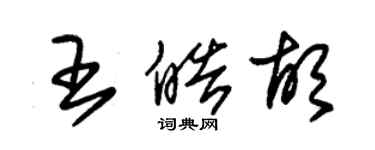 朱錫榮王皓胡草書個性簽名怎么寫