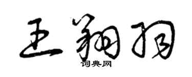 曾慶福王翔羽草書個性簽名怎么寫