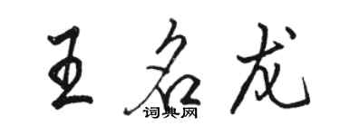 駱恆光王名龍行書個性簽名怎么寫