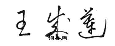 駱恆光王成蓮草書個性簽名怎么寫