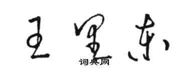 駱恆光王里東草書個性簽名怎么寫