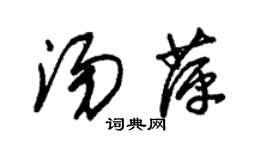 朱錫榮湯萍草書個性簽名怎么寫