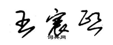 朱錫榮王宸熙草書個性簽名怎么寫