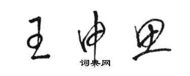 駱恆光王申思草書個性簽名怎么寫