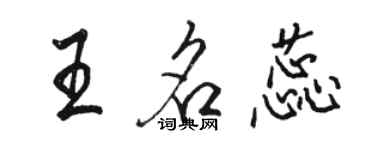 駱恆光王名蕊行書個性簽名怎么寫