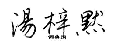 王正良湯梓默行書個性簽名怎么寫