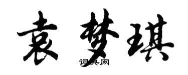 胡問遂袁夢琪行書個性簽名怎么寫