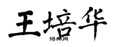翁闓運王培華楷書個性簽名怎么寫
