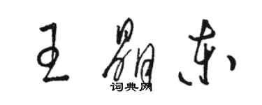 駱恆光王晶東草書個性簽名怎么寫