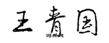 曾慶福王青國行書個性簽名怎么寫