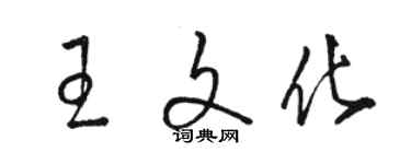 駱恆光王文化草書個性簽名怎么寫