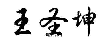 胡問遂王聖坤行書個性簽名怎么寫