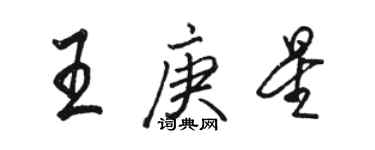 駱恆光王庚星行書個性簽名怎么寫
