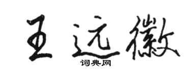 駱恆光王遠徽行書個性簽名怎么寫