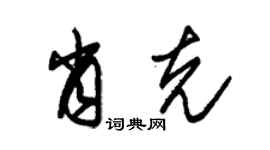 朱錫榮肖克草書個性簽名怎么寫