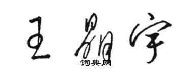 駱恆光王晶宇草書個性簽名怎么寫