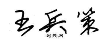 朱錫榮王兵策草書個性簽名怎么寫