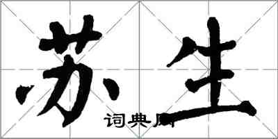 翁闓運蘇生楷書怎么寫