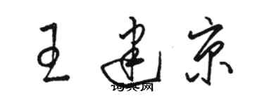 駱恆光王建京草書個性簽名怎么寫