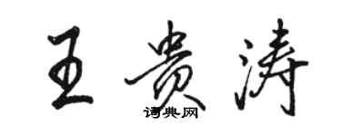 駱恆光王貴濤行書個性簽名怎么寫