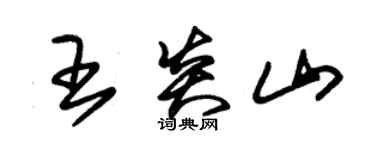 朱錫榮王炎山草書個性簽名怎么寫