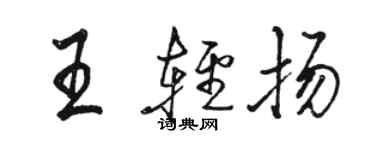駱恆光王輕揚行書個性簽名怎么寫