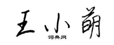 王正良王小萌行書個性簽名怎么寫