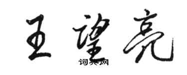 駱恆光王望亮行書個性簽名怎么寫