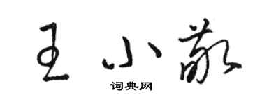駱恆光王小敬草書個性簽名怎么寫
