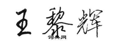 駱恆光王黎輝行書個性簽名怎么寫