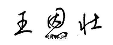 梁錦英王恩壯草書個性簽名怎么寫