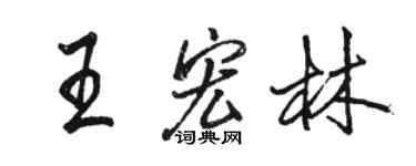 駱恆光王宏林行書個性簽名怎么寫