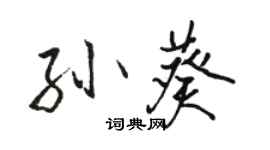 駱恆光孫葵行書個性簽名怎么寫