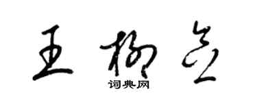 梁錦英王柳念草書個性簽名怎么寫