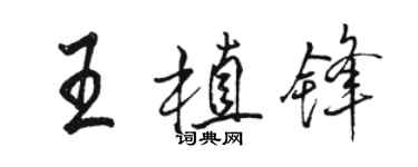 駱恆光王植鋒行書個性簽名怎么寫