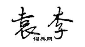 曾慶福袁李行書個性簽名怎么寫