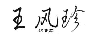 駱恆光王風珍行書個性簽名怎么寫