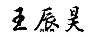 胡問遂王辰昊行書個性簽名怎么寫