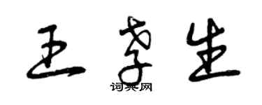 曾慶福王孝生草書個性簽名怎么寫