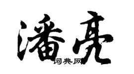 胡問遂潘亮行書個性簽名怎么寫