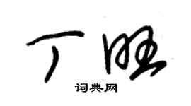 朱錫榮丁旺草書個性簽名怎么寫